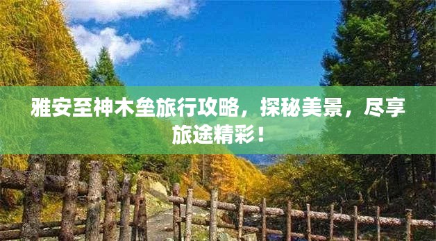 雅安至神木壘旅行攻略，探秘美景，盡享旅途精彩！