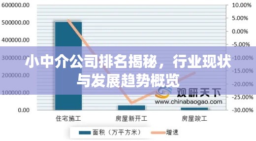 小中介公司排名揭秘，行業(yè)現(xiàn)狀與發(fā)展趨勢概覽