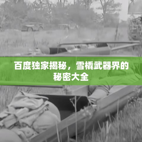 百度獨家揭秘，雪橇武器界的秘密大全
