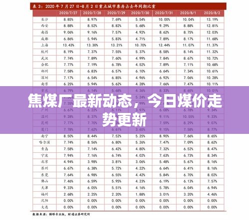 焦煤廠最新動態(tài)，今日煤價走勢更新