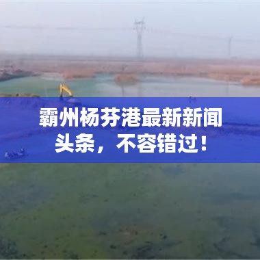 霸州楊芬港最新新聞頭條，不容錯過！