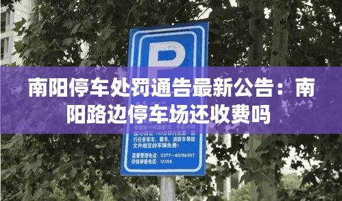 南陽停車處罰通告最新公告：南陽路邊停車場還收費嗎 