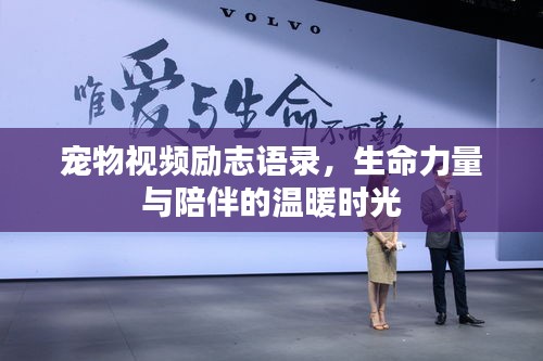 寵物視頻勵志語錄，生命力量與陪伴的溫暖時光