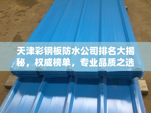 天津彩鋼板防水公司排名大揭秘，權(quán)威榜單，專業(yè)品質(zhì)之選！