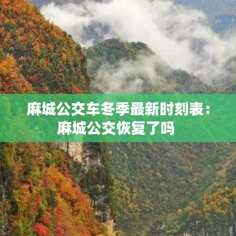 學(xué)貫中西 第4頁(yè)