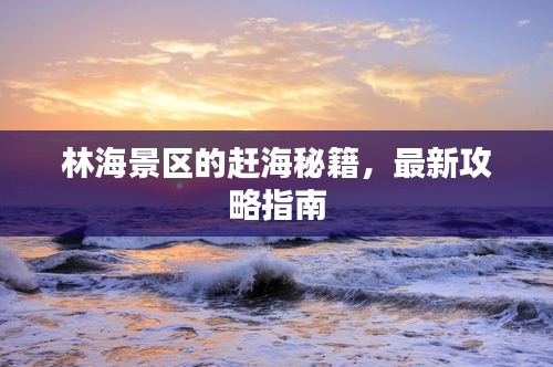 林海景區(qū)的趕海秘籍，最新攻略指南