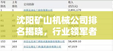 沈陽礦山機械公司排名揭曉，行業(yè)領軍者榜單出爐！