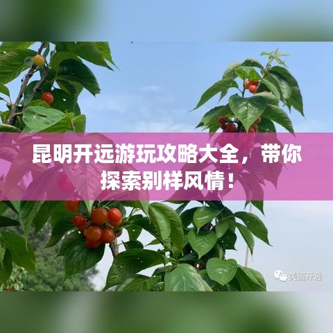 昆明開遠(yuǎn)游玩攻略大全，帶你探索別樣風(fēng)情！