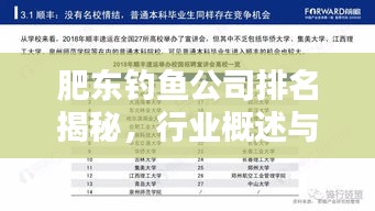 肥東釣魚公司排名揭秘，行業(yè)概述與熱門推薦