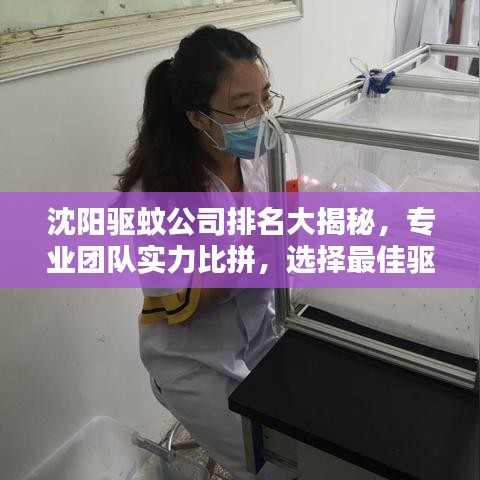 沈陽驅(qū)蚊公司排名大揭秘，專業(yè)團(tuán)隊(duì)實(shí)力比拼，選擇最佳驅(qū)蚊服務(wù)！