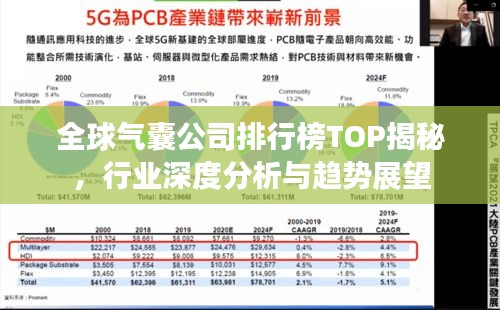 全球氣囊公司排行榜TOP揭秘，行業(yè)深度分析與趨勢展望