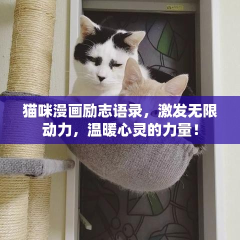 無邊無際 第4頁(yè)