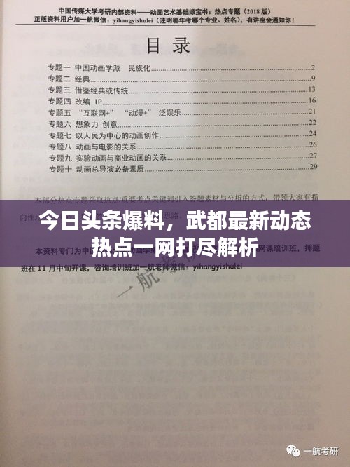 今日頭條爆料，武都最新動(dòng)態(tài)熱點(diǎn)一網(wǎng)打盡解析
