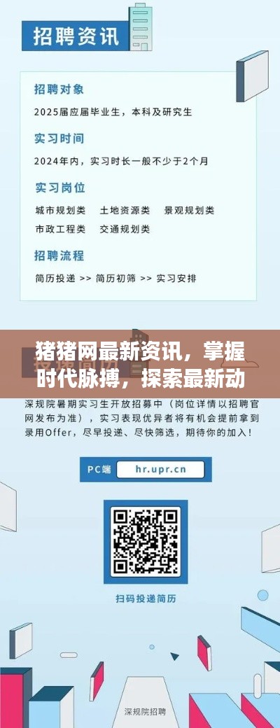 豬豬網(wǎng)最新資訊，掌握時代脈搏，探索最新動態(tài)