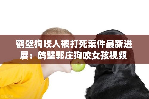 鶴壁狗咬人被打死案件最新進(jìn)展：鶴壁郭莊狗咬女孩視頻 