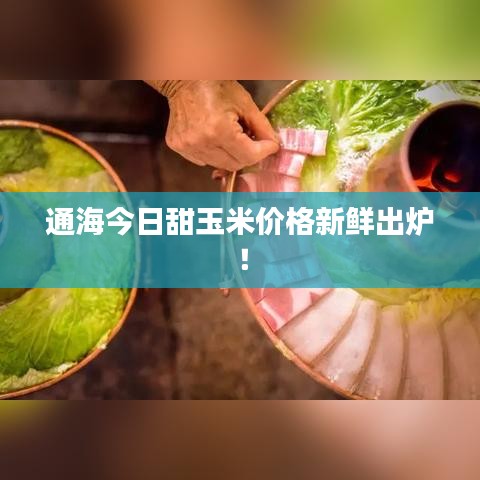 通海今日甜玉米價格新鮮出爐！