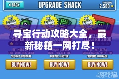 尋寶行動(dòng)攻略大全，最新秘籍一網(wǎng)打盡！