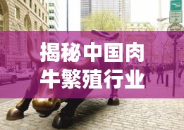 聯(lián)系我們 第363頁