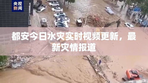 都安今日水災(zāi)實時視頻更新，最新災(zāi)情報道