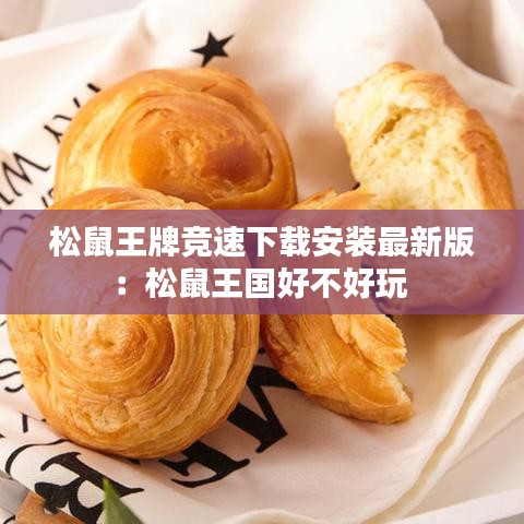 松鼠王牌競(jìng)速下載安裝最新版：松鼠王國(guó)好不好玩 