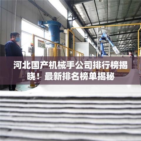 河北國產(chǎn)機(jī)械手公司排行榜揭曉！最新排名榜單揭秘