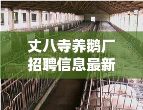 丈八寺養(yǎng)鵝廠招聘信息最新：丈八廟是什么廟 