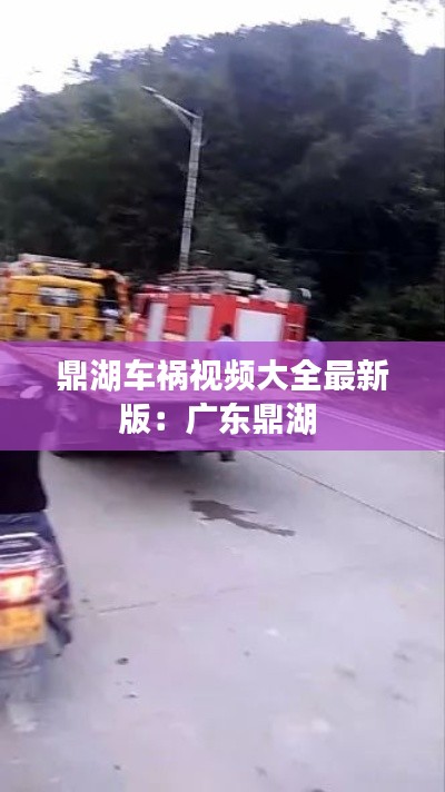 鼎湖車(chē)禍視頻大全最新版：廣東鼎湖 