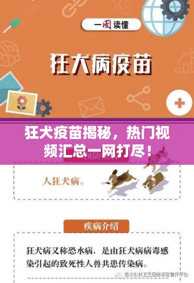 狂犬疫苗揭秘，熱門(mén)視頻匯總一網(wǎng)打盡！