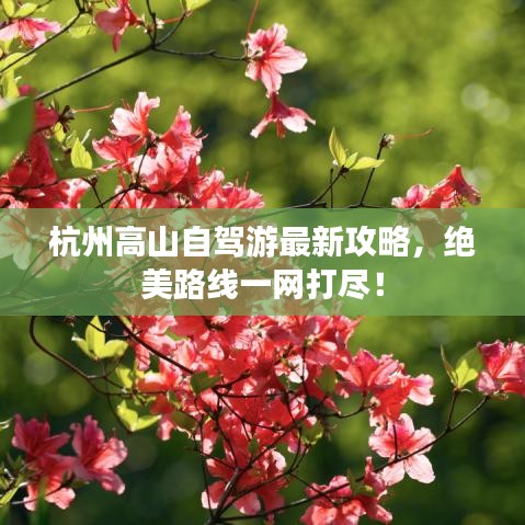 杭州高山自駕游最新攻略，絕美路線一網(wǎng)打盡！