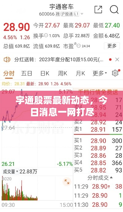 宇通股票最新動(dòng)態(tài)，今日消息一網(wǎng)打盡