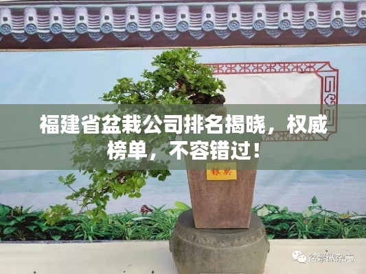 福建省盆栽公司排名揭曉，權(quán)威榜單，不容錯過！