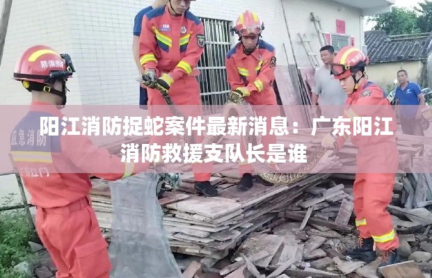 陽江消防捉蛇案件最新消息：廣東陽江消防救援支隊長是誰 