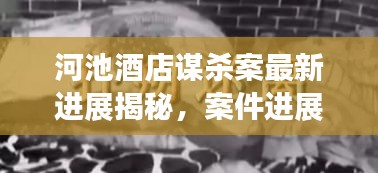 河池酒店謀殺案最新進展揭秘，案件進展令人震驚，真相逐漸浮出水面