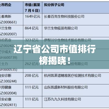 遼寧省公司市值排行榜揭曉！