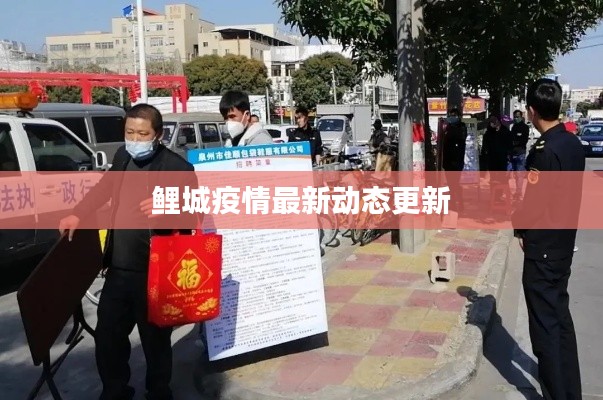 鯉城疫情最新動態(tài)更新