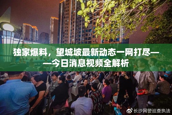 獨家爆料，望城坡最新動態(tài)一網(wǎng)打盡——今日消息視頻全解析