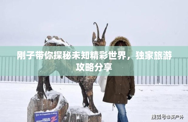 剛子帶你探秘未知精彩世界，獨(dú)家旅游攻略分享