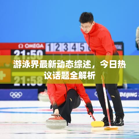 游泳界最新動態(tài)綜述，今日熱議話題全解析