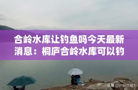 合嶺水庫讓釣魚嗎今天最新消息：桐廬合嶺水庫可以釣魚嗎 