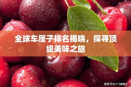 文質(zhì)彬彬 第3頁