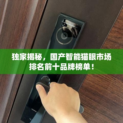 獨(dú)家揭秘，國產(chǎn)智能貓眼市場排名前十品牌榜單！