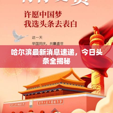 哈爾濱最新消息速遞，今日頭條全揭秘