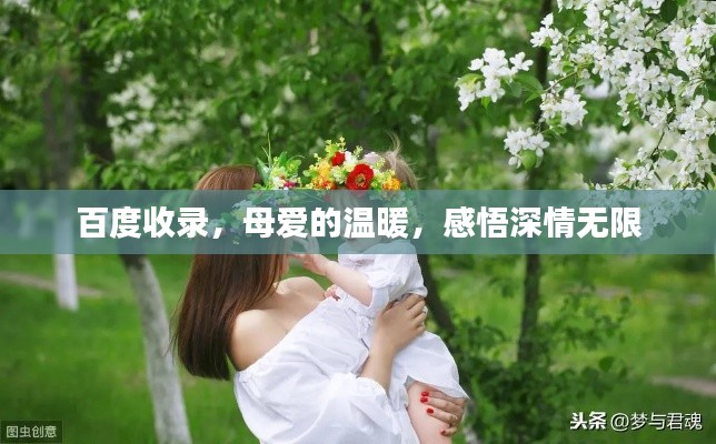 百度收錄，母愛的溫暖，感悟深情無限