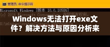 Windows無法打開exe文件？解決方法與原因分析來幫你解決！
