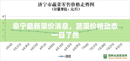阜寧最新菜價消息，蔬菜價格動態(tài)一目了然