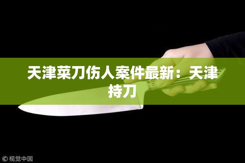 天津菜刀傷人案件最新：天津 持刀 