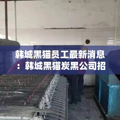 韓城黑貓員工最新消息：韓城黑貓?zhí)亢诠菊衅?