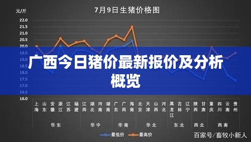 廣西今日豬價(jià)最新報(bào)價(jià)及分析概覽