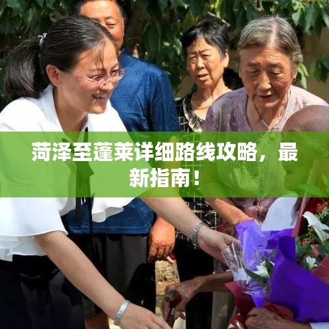 菏澤至蓬萊詳細(xì)路線攻略，最新指南！