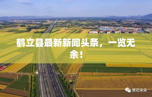 鶴立縣最新新聞頭條，一覽無余！